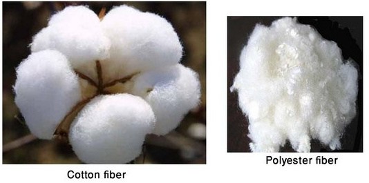 fibre_image